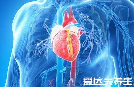 哪個(gè)器官最怕冷，了解這些及時(shí)做好防護(hù)