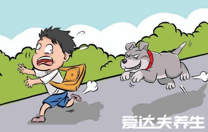 狂犬疫苗多少錢一針，打完狂犬疫苗要注意的4種事項(xiàng)