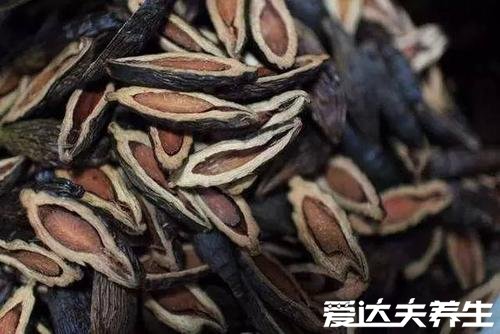 檳榔的功效與作用危害，可有效殺蟲消炎但多吃容易患口腔癌