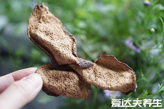 陳皮的功效與作用禁忌，能夠保護(hù)心血管降低血壓血脂