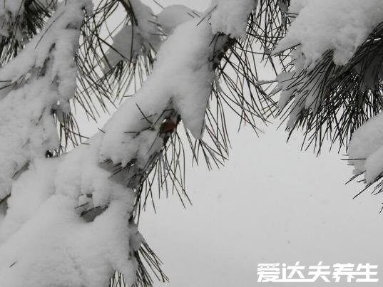 大雪節(jié)氣的含義是什么，天氣變冷要下大雪（附大雪養(yǎng)生事項(xiàng)）