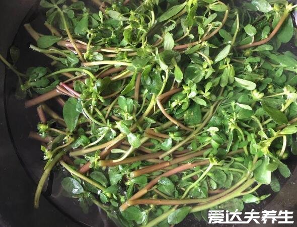 孕婦十大禁忌蔬菜，莧菜/木耳吃了都容易導致流產