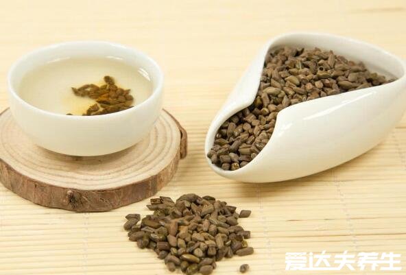 決明子茶的功效與作用，能夠全身去脂減肥效果超級好