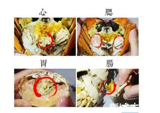 螃蟹蘸料怎么調(diào)好吃，不止是糖醋味還有這4種(全網(wǎng)最全螃蟹蘸料)