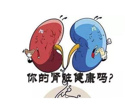 腎陰虛和腎陽虛的區(qū)別，睡眠/氣色/小便/體型體重皆不相同