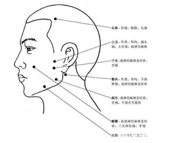 人體頭部經(jīng)絡(luò)圖穴位圖，讓你精準(zhǔn)找到自己頭部的穴位