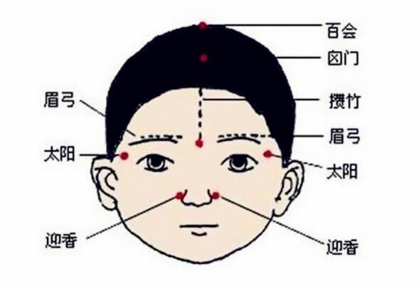 人體頭部經(jīng)絡(luò)圖穴位圖，讓你精準(zhǔn)找到自己頭部的穴位