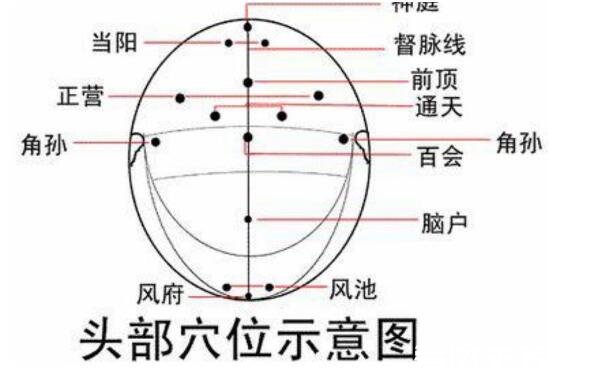 人體頭部經(jīng)絡(luò)圖穴位圖，讓你精準(zhǔn)找到自己頭部的穴位