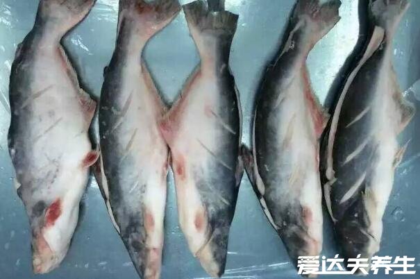 巴沙魚(yú)為什么不能吃，處理干凈的新鮮巴沙魚(yú)可以吃(附挑選方法)