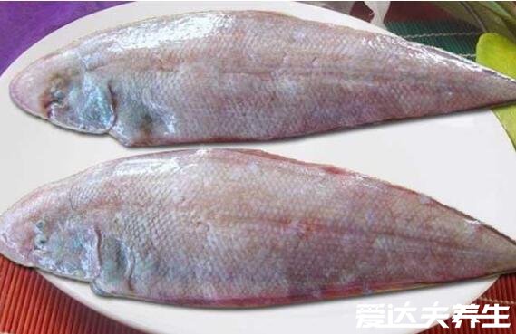 巴沙魚和龍利魚的區(qū)別，4大區(qū)別讓你一眼就能分清兩種魚