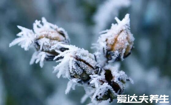 小雪節(jié)氣的含義是什么，天氣逐漸轉(zhuǎn)涼注意保暖(附小雪注意事項(xiàng))