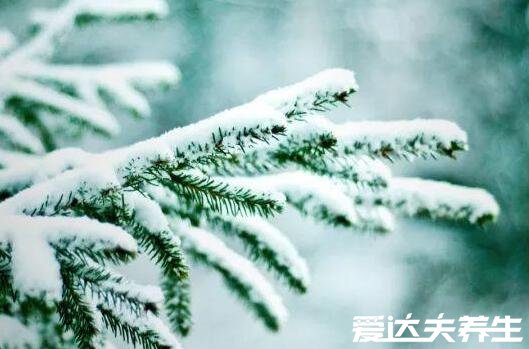 小雪節(jié)氣的含義是什么，天氣逐漸轉(zhuǎn)涼注意保暖(附小雪注意事項(xiàng))