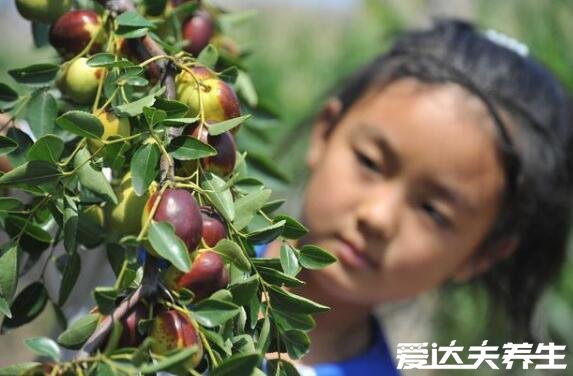 冬棗的營養(yǎng)功效與作用，能夠保肝解毒預(yù)防心血管病