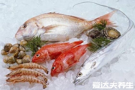 血脂高的人吃什么食物可以降血脂，深海魚能有效降低血壓血脂