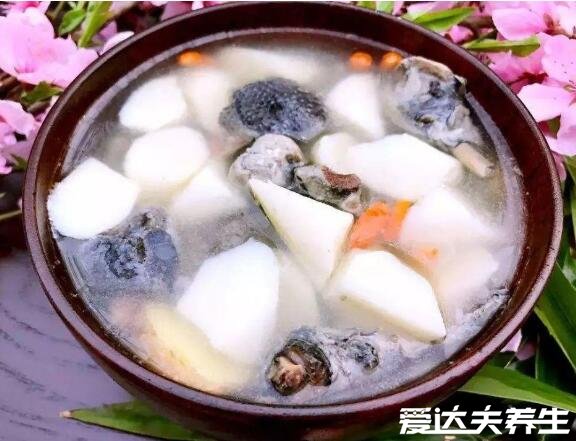 甲魚湯怎么燉補腎效果好，5種簡單食譜燉出超補腎甲魚湯