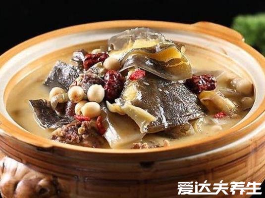 甲魚湯怎么燉補腎效果好，5種簡單食譜燉出超補腎甲魚湯