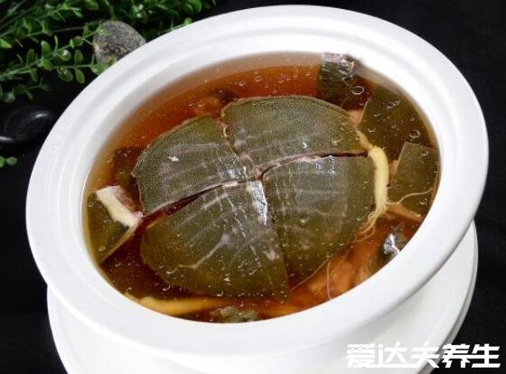 甲魚湯怎么燉補腎效果好，5種簡單食譜燉出超補腎甲魚湯