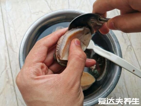 鮑魚的做法及清洗方法，超詳細(xì)步驟讓你輕松做出蒜蓉粉絲鮑魚