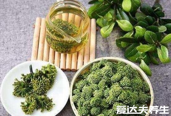 三七花泡水喝有什么功效和作用，不僅治療氣血不通還助眠抗疲勞