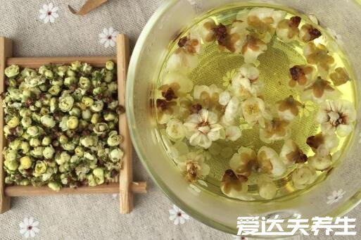 白梅花和玫瑰花泡水喝的功效，不僅可以美容養(yǎng)顏還能治療陽痿