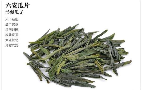  六安瓜片屬于什么茶，產(chǎn)地在六安市的綠茶特種茶(附價格及圖片)