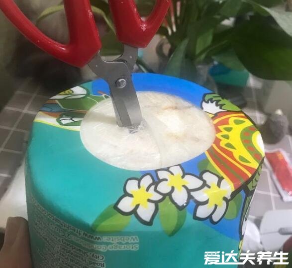 椰子怎么打開怎么吃果肉，不同椰子的多種打開方式圖解