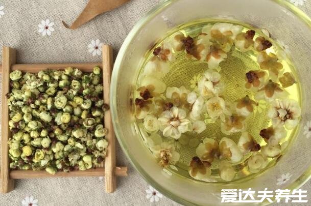 白梅花和玫瑰花泡水喝能消結(jié)節(jié)嗎，不能最多有點(diǎn)預(yù)防作用(附功效禁忌)