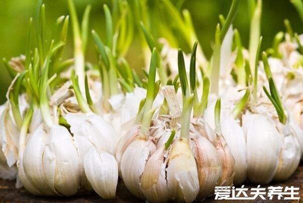 大蒜怎么保存不發(fā)芽，懸掛/冷藏/密封/裝罐/腌制都可以