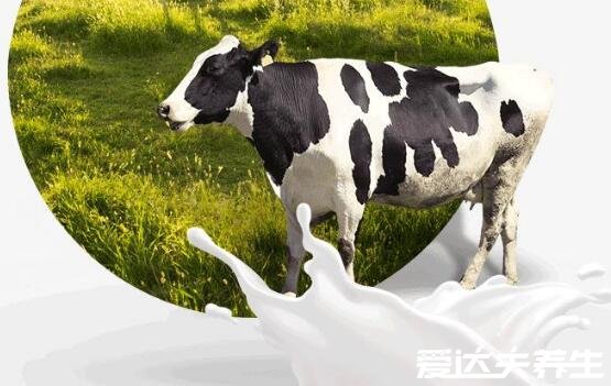 生牛乳是什么意思它與純牛奶有什么區(qū)別，看清這三點(diǎn)千萬別融混