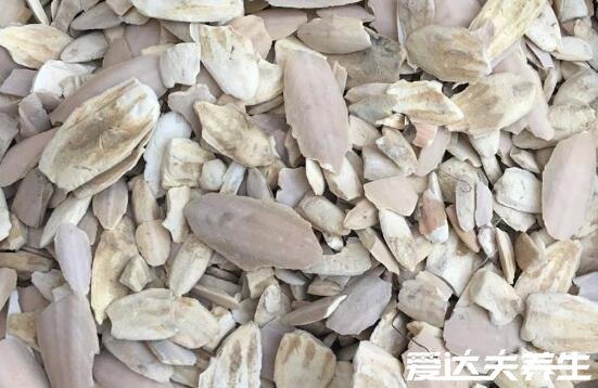 墨魚骨有什么用及功效與作用是什么，用來正骨和美白牙齒有奇效