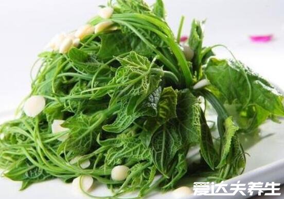 龍須菜的功效與作用及禁忌，不僅可以促進(jìn)生長還能降血壓(圖片)