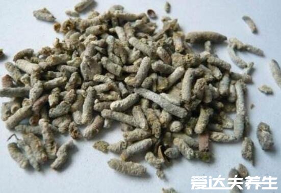 白丁香是什么動物的糞便，白丁香的功效與作用(麻雀的糞便)