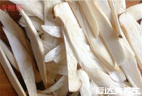 雞腿菇和杏鮑菇的區(qū)別，不論外形還是口感皆不相同(雞腿菇圖片)