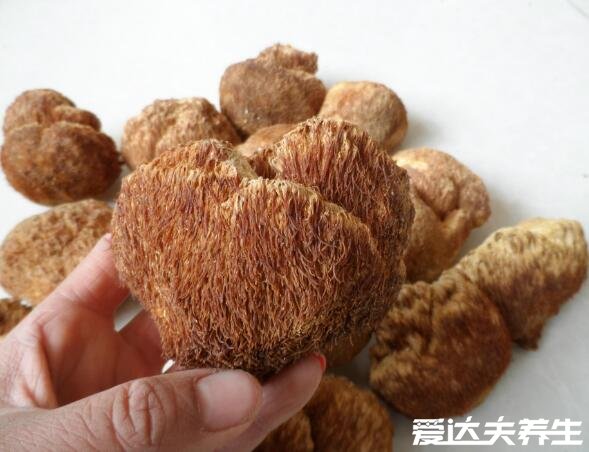 猴頭菇的作用與功效，降三高并保健大腦非常適合老人食用(圖片)