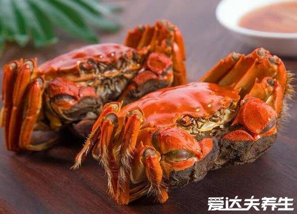 吃柿子的12個禁忌，與高蛋白質高淀粉食物同吃都會消化不良