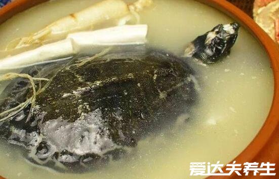 甲魚湯怎么燉補腎效果好，加上鹿茸阿膠一起燉補腎壯陽