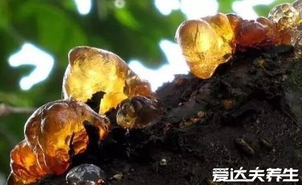 桃膠多少錢一斤什么人不能吃，孕婦吃了容易流產(chǎn)和胎兒畸形