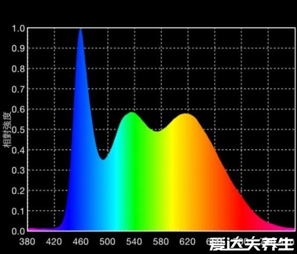 青色是什么顏色，現(xiàn)代定義為介于藍(lán)色與綠色之間的顏色