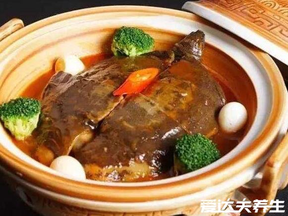 甲魚的功效與作用及禁忌，能壯陽補(bǔ)精產(chǎn)婦下奶但孕婦千萬不要吃