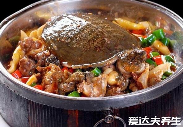 甲魚的功效與作用及禁忌，能壯陽補(bǔ)精產(chǎn)婦下奶但孕婦千萬不要吃