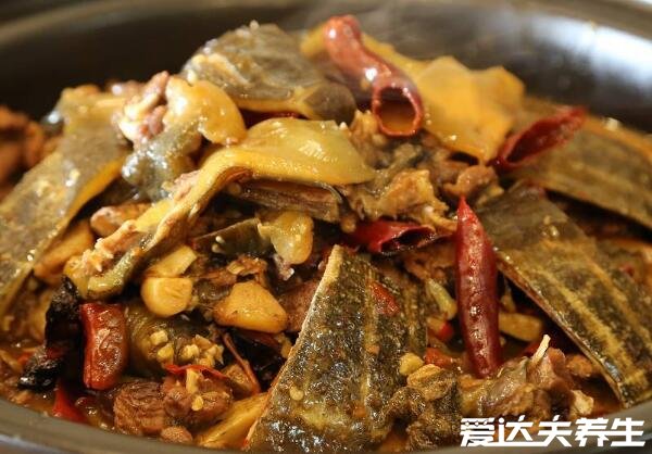 甲魚的功效與作用及禁忌，能壯陽補(bǔ)精產(chǎn)婦下奶但孕婦千萬不要吃