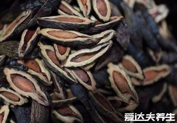 新鮮檳榔怎么吃有什么好處和壞處，灰漿加萎葉包住吃會吃醉