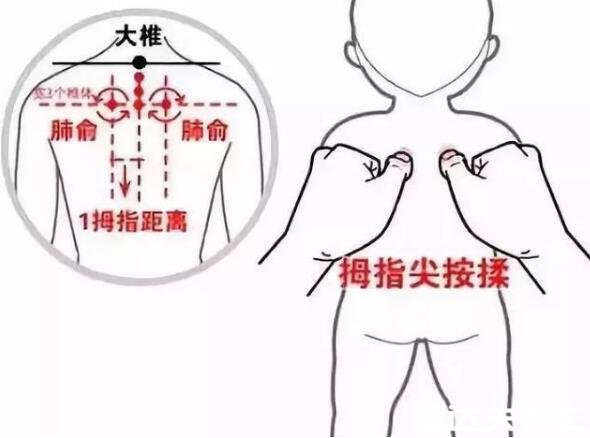 肺俞的準確位置圖片，位于第三胸椎和肩胛骨之間主治咳喘