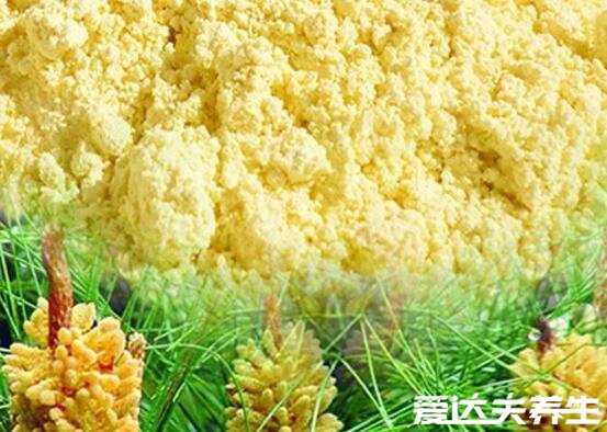 松花粉的功效與作用及食用方法，直接吃可美容養(yǎng)顏/改善腸道