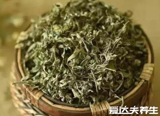 艾草的功效和作用和禁忌，可調(diào)理月經(jīng)/祛濕散寒但陰虛血熱者慎服