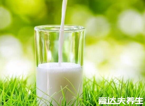 牛乳是什么和鮮牛奶有什么區(qū)別，從制作過程到飲用方式皆不同