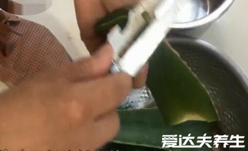 新鮮蘆薈涂臉正確方法，6步教你養(yǎng)出細(xì)膩好肌膚(內(nèi)附步驟圖)