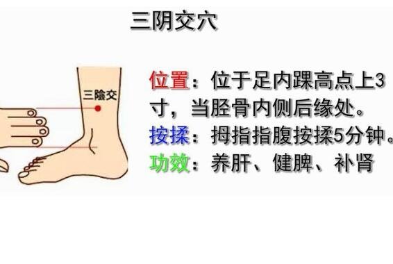 三陰交的位置圖片，位于足內(nèi)踝尖上3寸處可治療婦科疾病