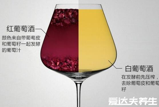 白葡萄酒和紅葡萄酒的區(qū)別，主要為原料和釀造工藝的不同