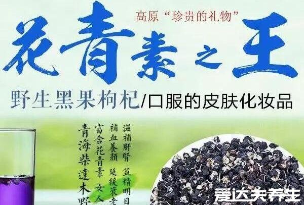 黑枸杞泡水喝的正確方法，400毫升60度以下的溫水泡15粒最佳